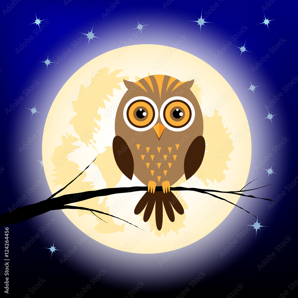 Fototapeta premium owl at night