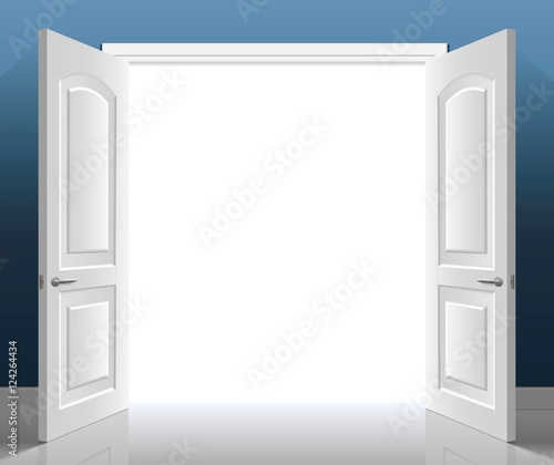 Open classic white double door. Vector graphics