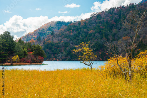 Yunoko lake in peak autumn colorful of green yellow and red maple leaf