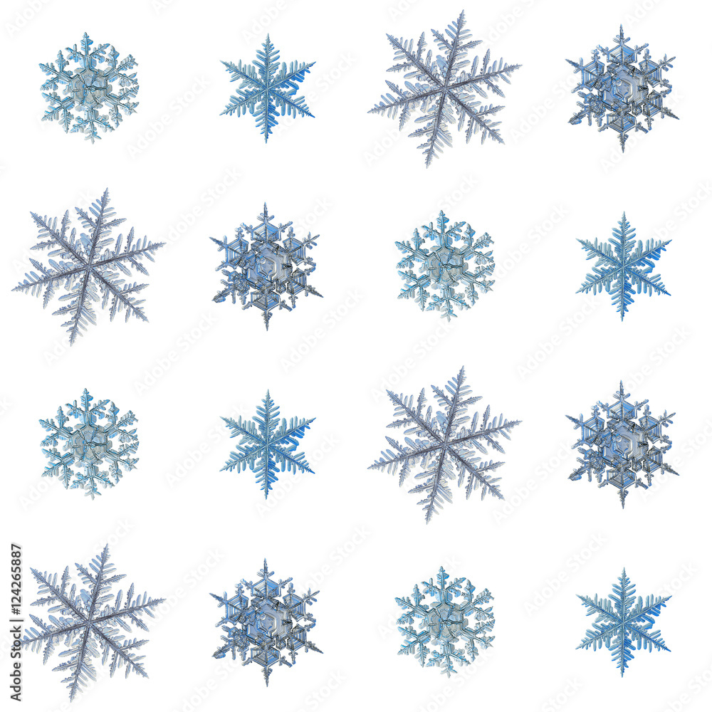 Set with snowflakes isolated on white background, arranged in square grid. This is macro photos of real snow crystals: large stellar dendrites with long, ornate arms and fine symmetry. Set with snowflakes isolated on white background, arranged in square grid. This is macro photos of real snow crystals: large stellar dendrites with long, ornate arms and fine symmetry.