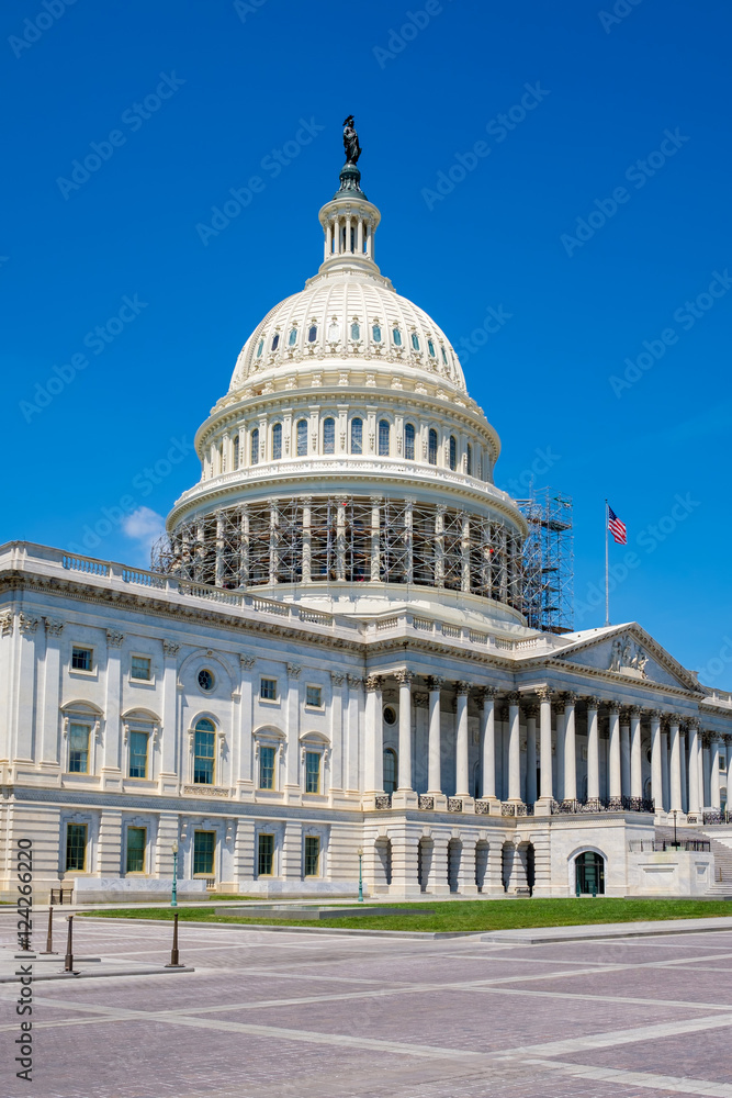 The US Capitol in Washington D.C.