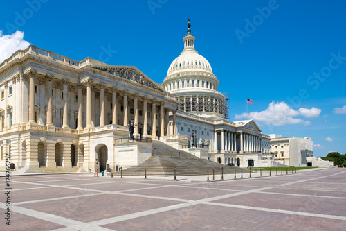 The US Capitol in Washington D.C. © kmiragaya