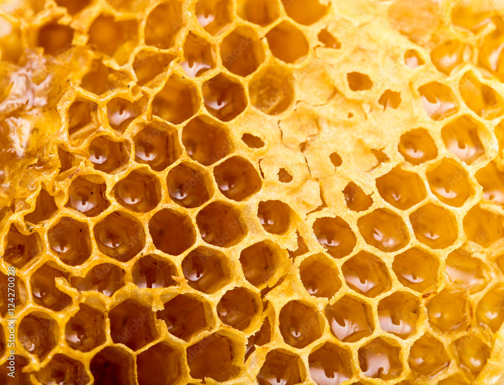 Fresh honey in the comb. macro