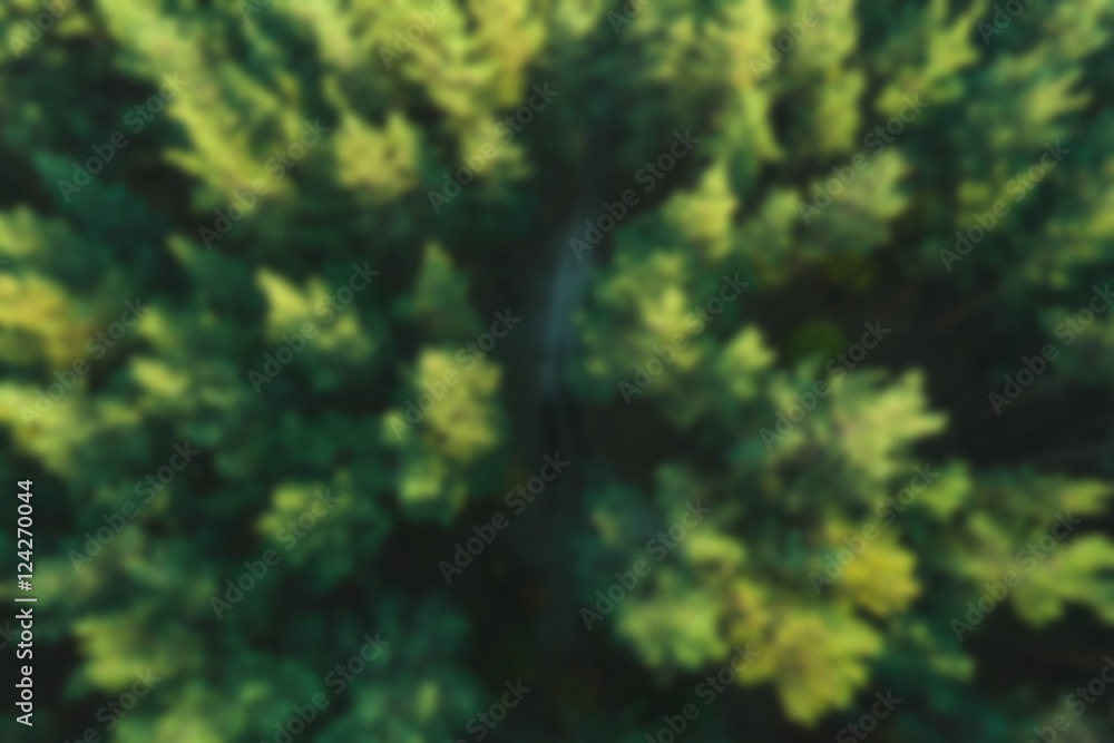 Blurred forest background, aerial view. Abstract green background Blurred forest background, aerial view. Abstract green background