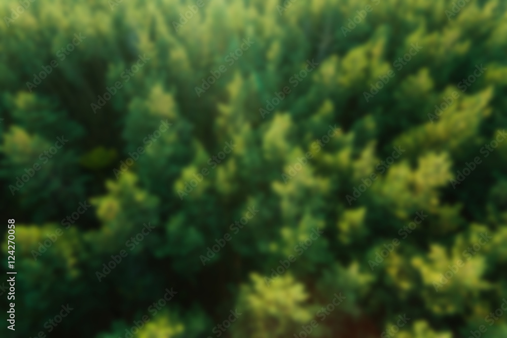 Blurred forest background, aerial view. Abstract green background Stock  Photo | Adobe Stock