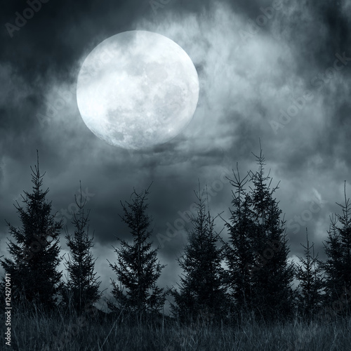 Magic landscape with pine tree forest under dramatic cloudy sky at full moon mysterious night