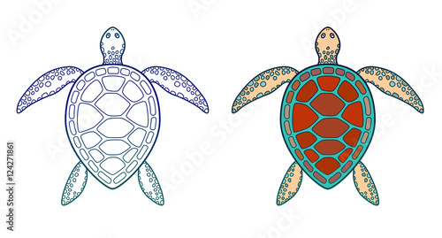 Sea turtle