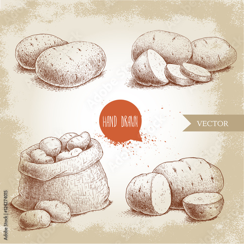 Hand drawn sketch style set illustration of ripe potatoes. Eco food vintage vector illustration