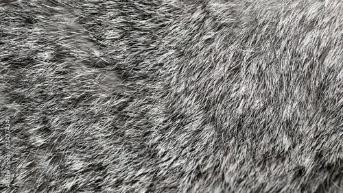 Obraz na plátně Gray rabbit fur as background