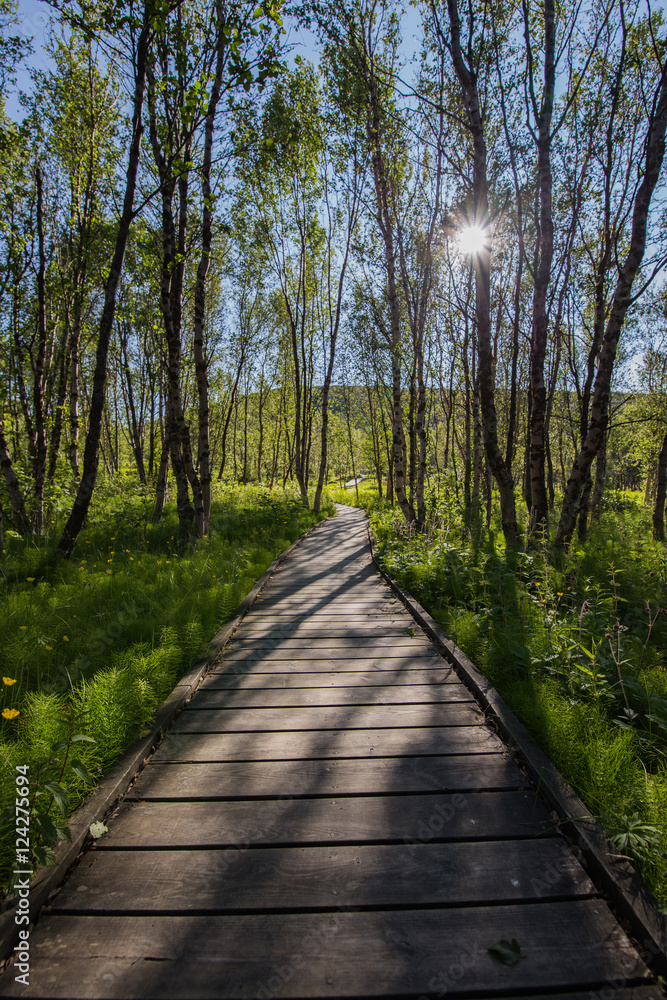 Weg zur Sonne Weg zur Sonne