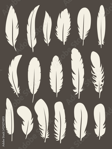 Vector group of feather. Silhouette set icons