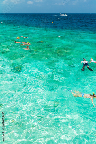 Tourists involved in snorkeling in shallow water near tropical i