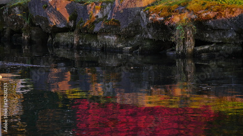 Fototapeta Naklejka Na Ścianę i Meble -  Farbige Spiegelung im Wasser