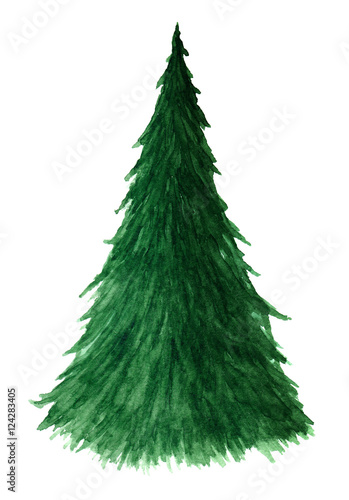 Christmas tree in watercolor