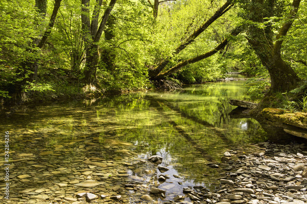 Trees reflected in clear shallow water in a woodland river;Zagoria epirus greece Trees reflected in clear shallow water in a woodland river;Zagoria epirus greece