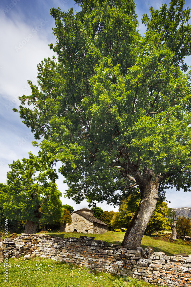The ancient little church aghios nikolaos surrounded by trees a truly pastoral setting just below the village of ano klidonia;Ano klidonia epirus greece The ancient little church aghios nikolaos surrounded by trees a truly pastoral setting just below the village of ano klidonia;Ano klidonia epirus greece