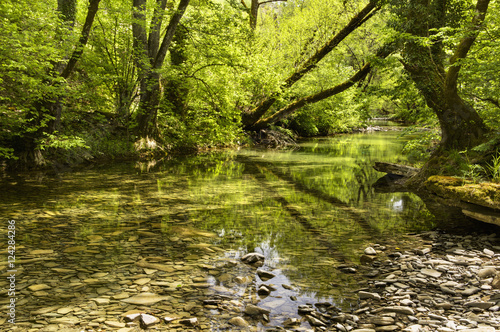 Trees reflected in clear shallow water in a woodland river;Zagoria epirus greece