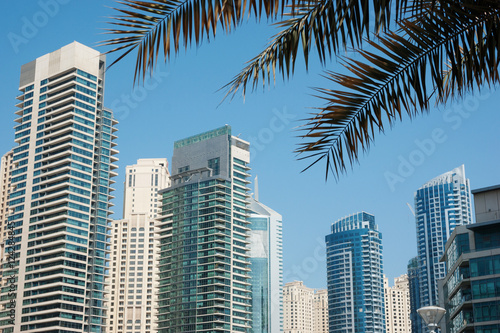 Modern buildings in Dubai Marina © arbalest