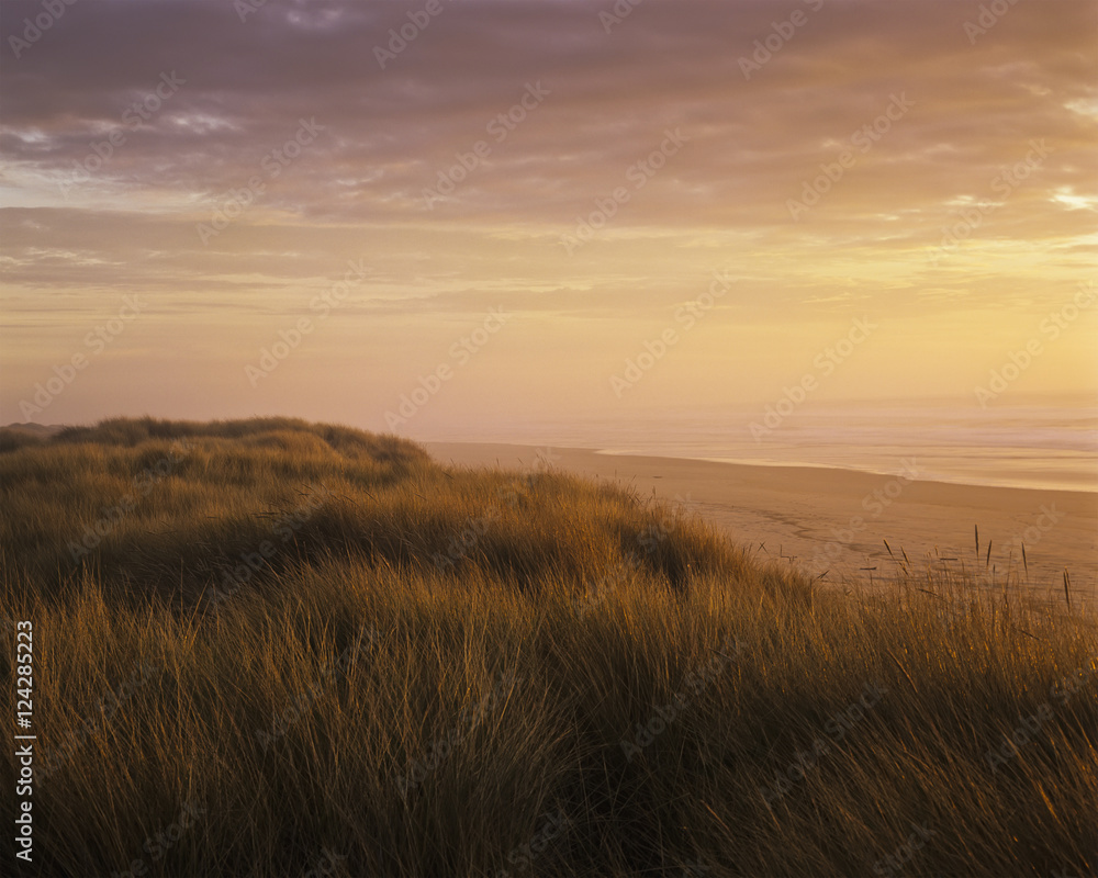 Sunset light on Umpqua Beach, Winchester Bay, Oregon, USA Sunset light on Umpqua Beach, Winchester Bay, Oregon, USA