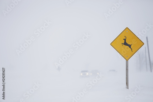 Snow squall along Mississauga Road with deer crossing sign; Caledon, Ontario, Canada