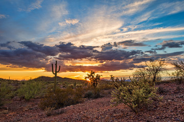 Poster Woestijnlandschap Avondrood boven Arizona woestijn  © JSirlin