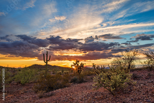 Arizona desert sunset Fototapeta