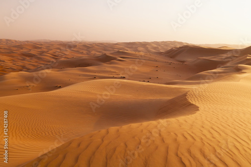 Landscape with Sand Dune, Liwa Oasis, Abu Dhabi, UAE photo