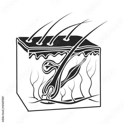 Skin icon in black style isolated on white background. Organs symbol stock vector illustration.