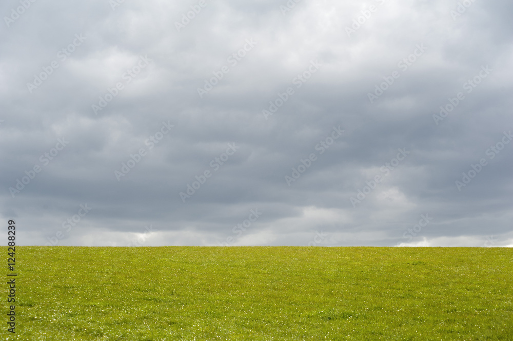 Empty green grassy field