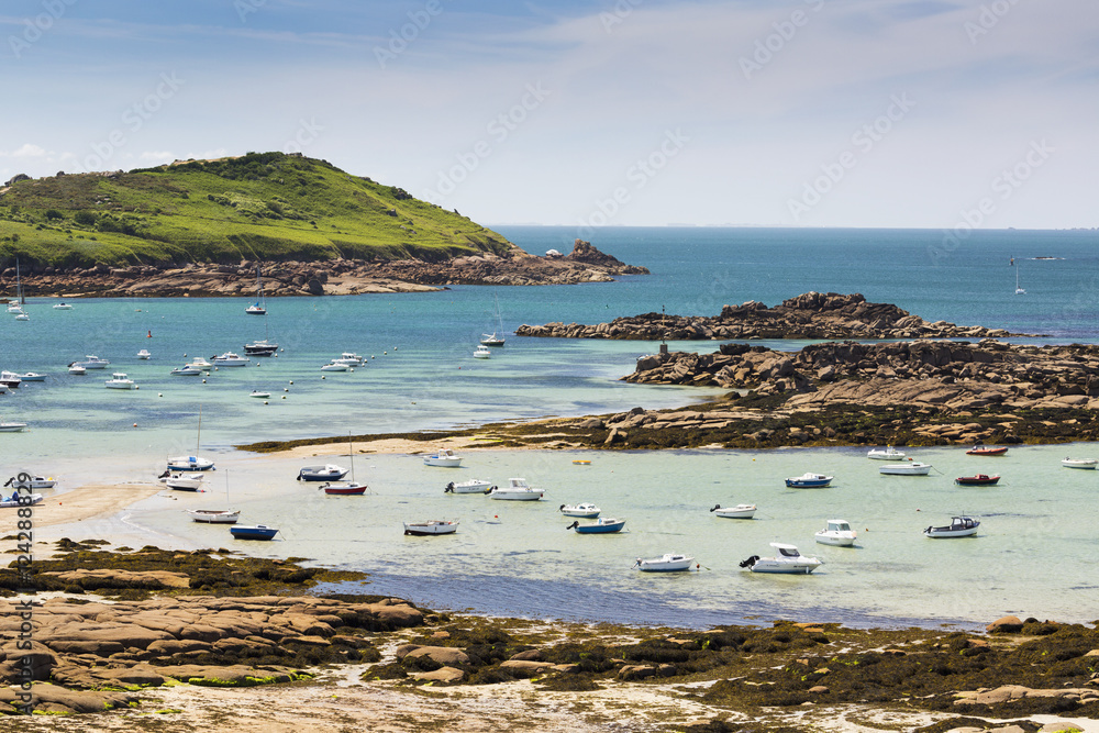 Several boats in a rocky cove at low tide with a grassy hillside in the background; Trebeurden, Brittany, France Several boats in a rocky cove at low tide with a grassy hillside in the background; Trebeurden, Brittany, France