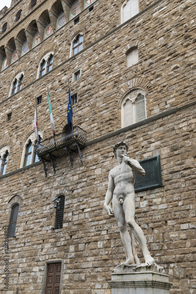 Naklejka premium Statue of David by Michelangelo in Florence, Italy.