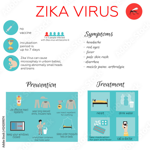 Zika virus infographic: prevention, symptoms and treatment