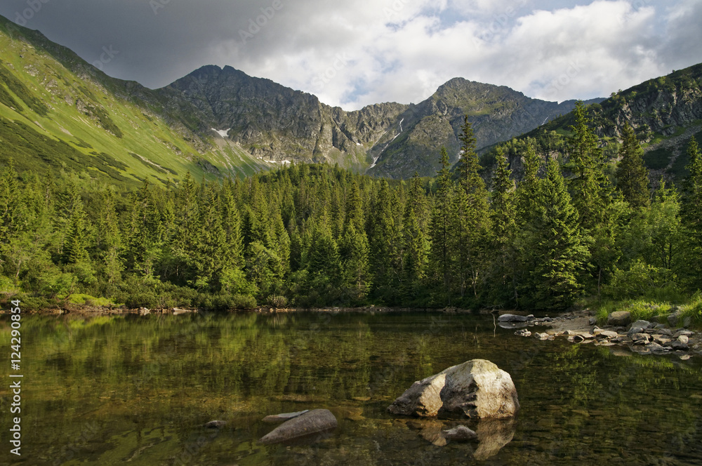 Western Tatras Lake and Trees