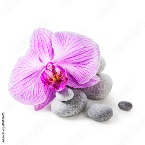 Pink orchid flower and spa stones