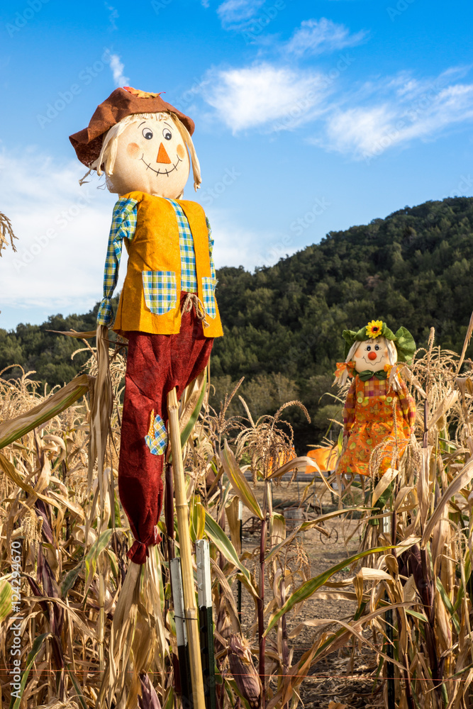 Scarecrows in a Corn Field
