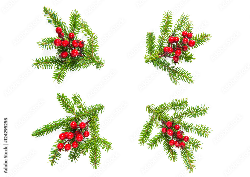 Christmas tree branches red berries decoration Flat lay Christmas tree branches red berries decoration Flat lay