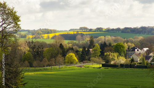 Peaceful Morning in the French Countryside