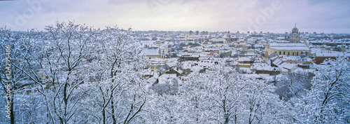 Bild auf Leinwand Vilnius sous la neige