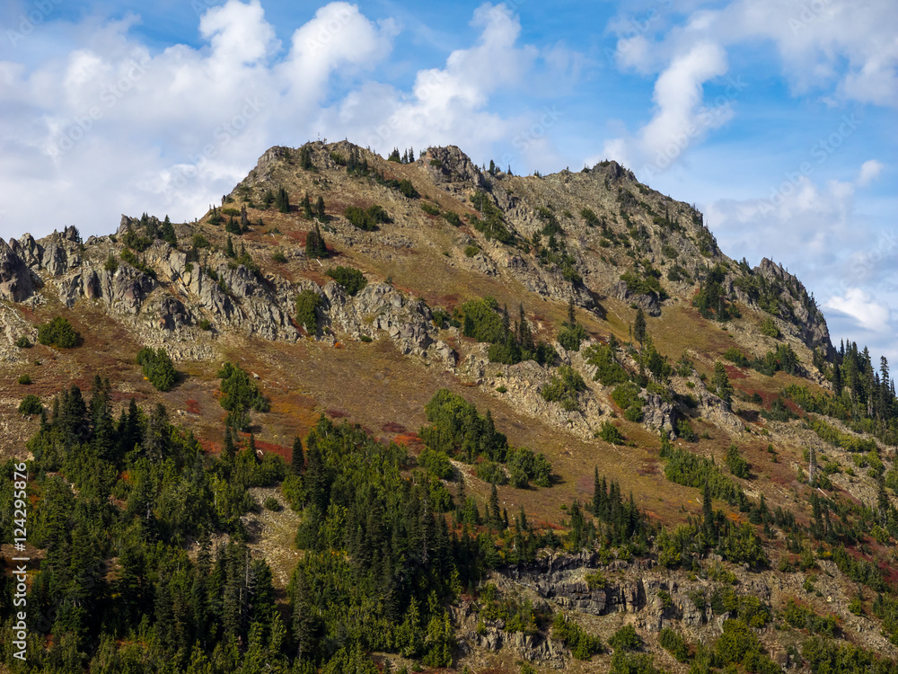 Fototapeta premium The High Country