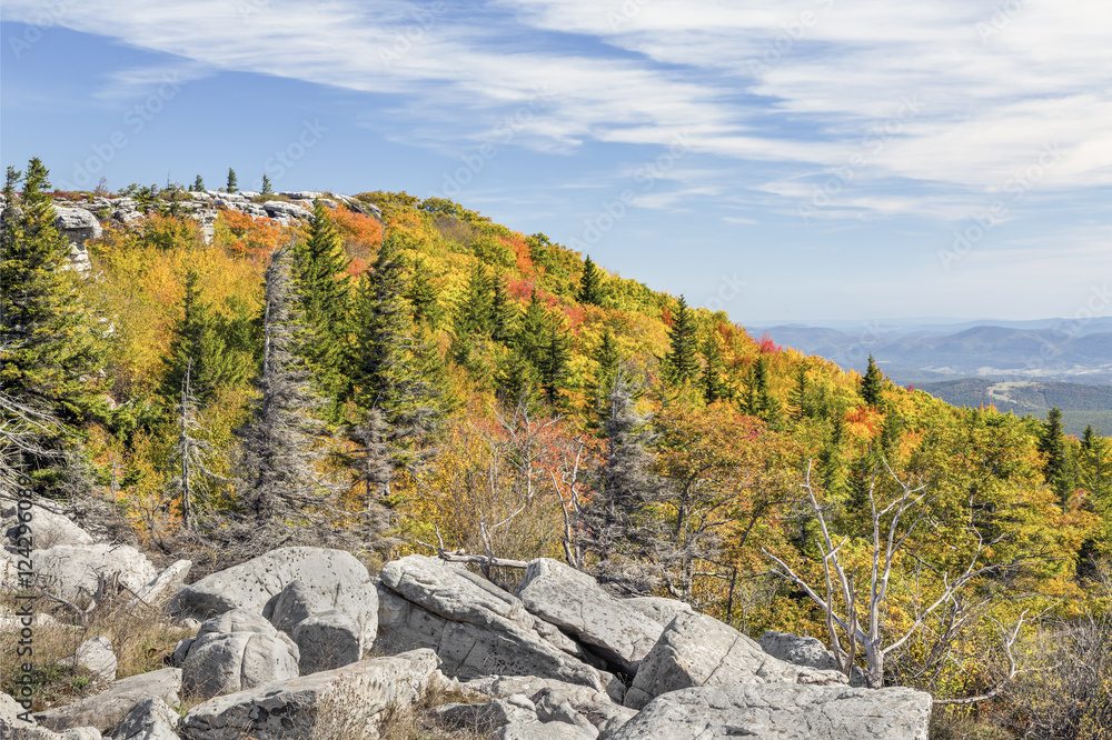 Fototapeta premium Autumn on the Allegheny Front at Bear Rocks, Dolly Sods Wilderness, West Virginia