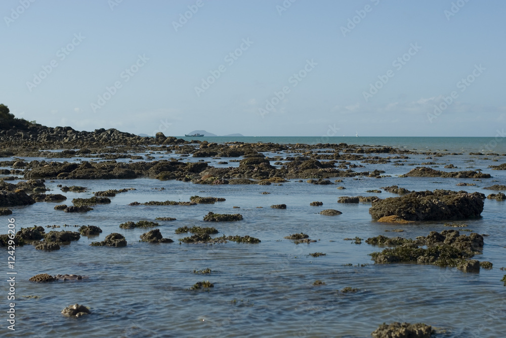 low tide finging reef