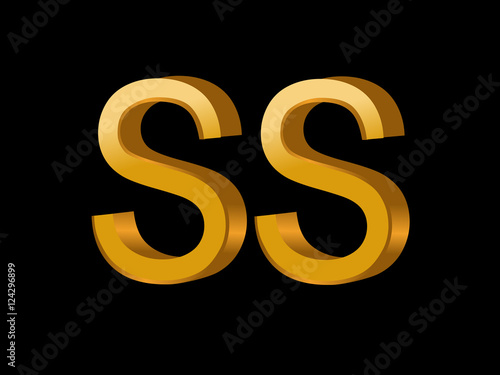 SS Initial Logo for your startup venture