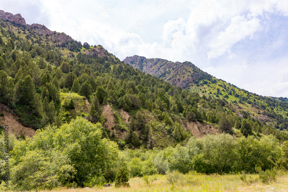 Fototapeta premium beautiful nature in the mountains of Kazakhstan