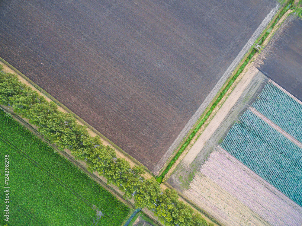 aerial view of green geometric agricultural fields  in Netherlands