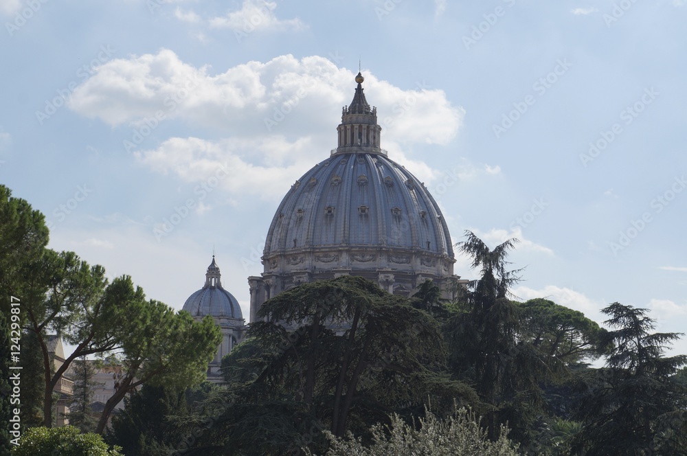 Fototapeta premium Vatican Dome