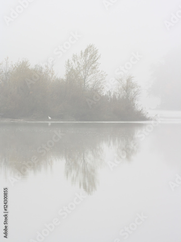 landscape with fog