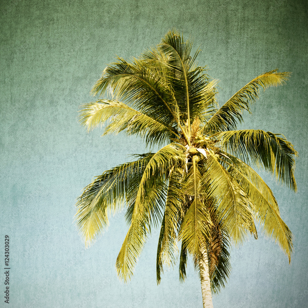vintage palm tree background Stock Photo | Adobe Stock