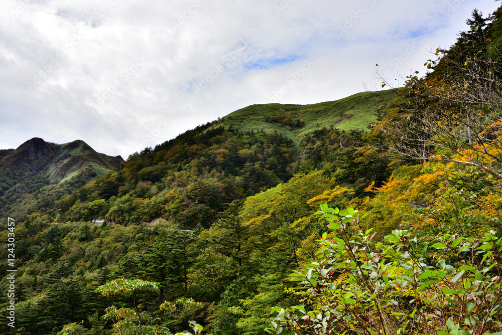 Obraz premium 瓶ヶ森林道寒風山付近から見た石鎚山方面の風景(2016年10月)
