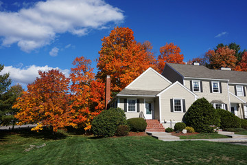apartment building with colorful autumn trees