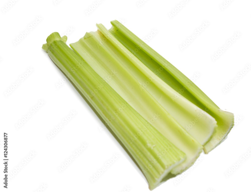 Celery stick isolated in white background. scientific name Apium